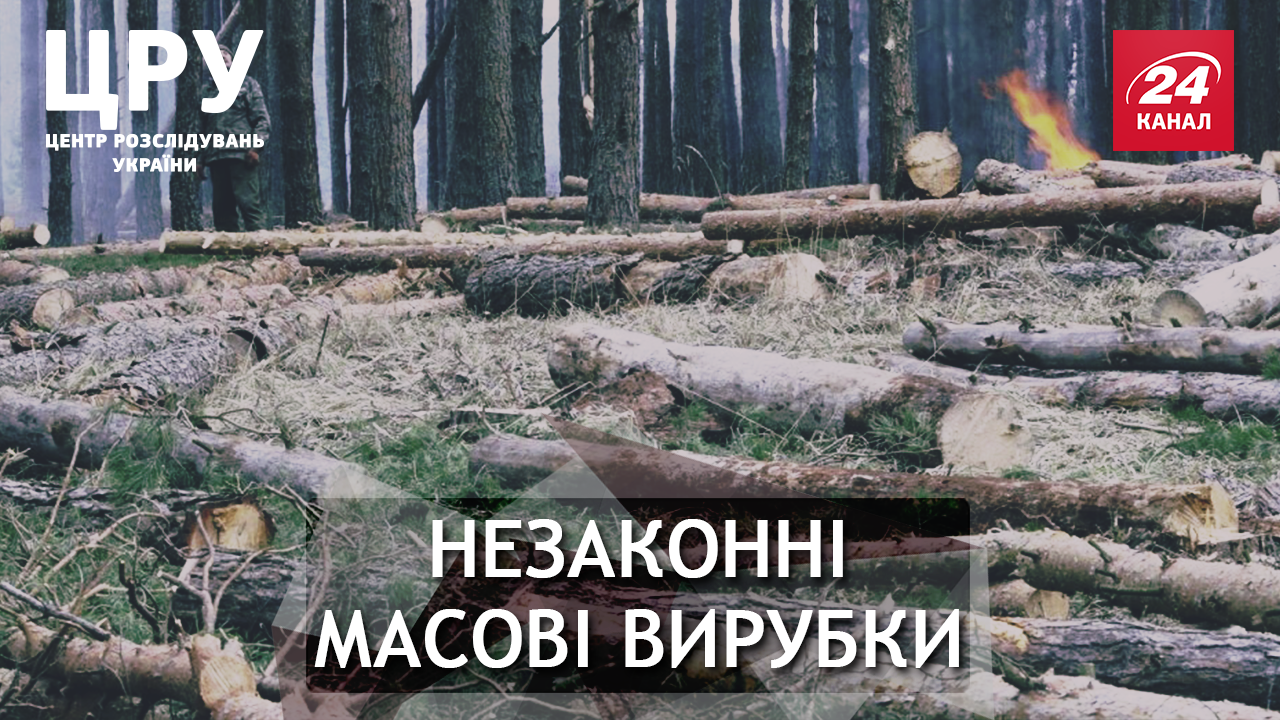 Хто стоїть за нищівним руйнуванням українського Полісся Хто стоїть за нищівним руйнуванням українського Полісся