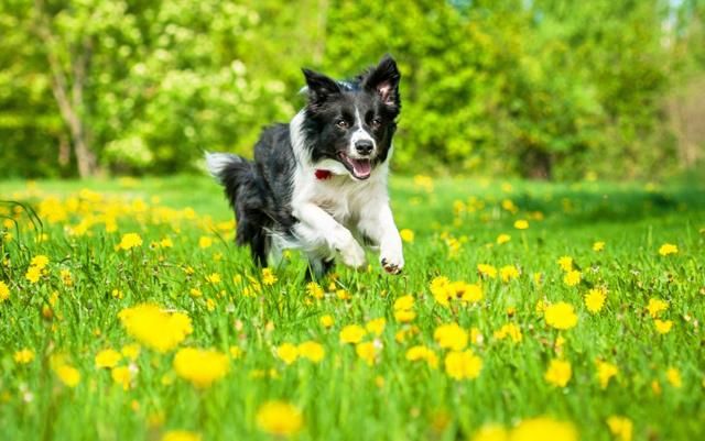 Погода 29 апреля в Украине: прогноз погоды от синоптиков Погода 29 апреля в Украине: прогноз погоды от синоптиков
