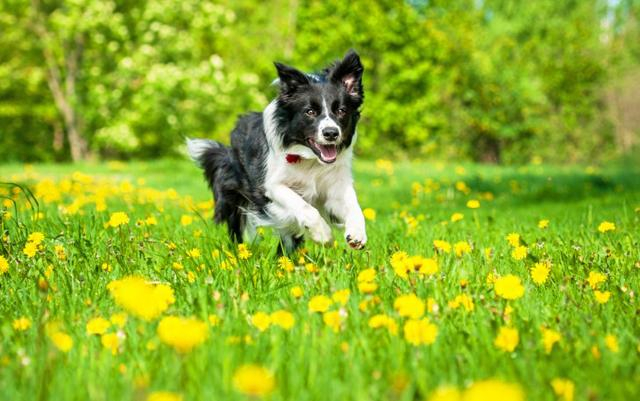 Погода 29 апреля в Украине: прогноз погоды от синоптиков