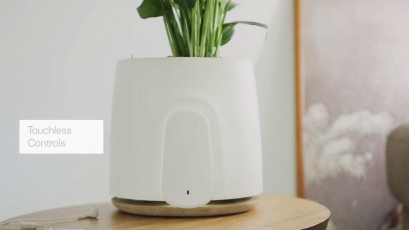 Представили "розумний" очисник повітря: чим унікальна новинка Представили "розумний" очисник повітря: чим унікальна новинка