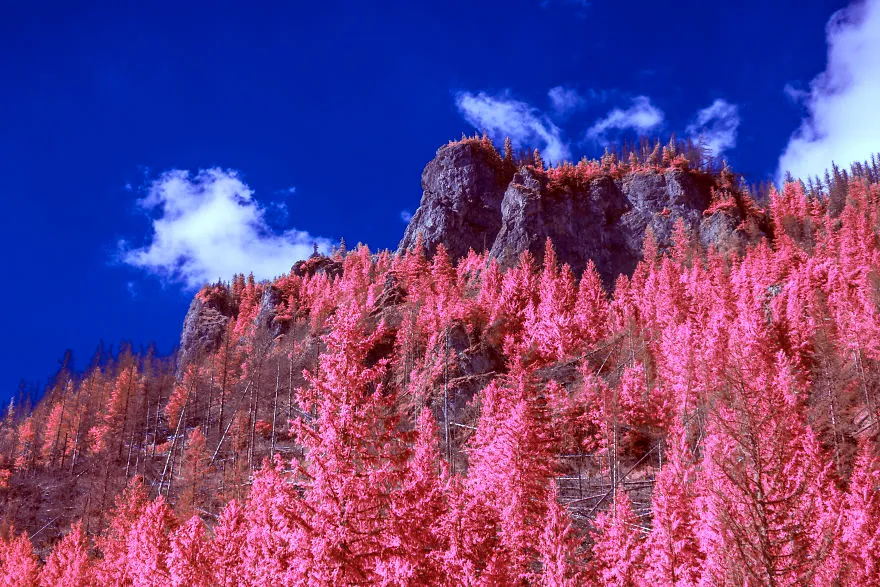 Польща Польща