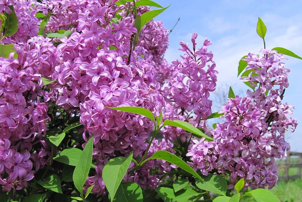 Погода на 2 травня в Україні - прогноз погоди Погода на 2 травня в Україні - прогноз погоди