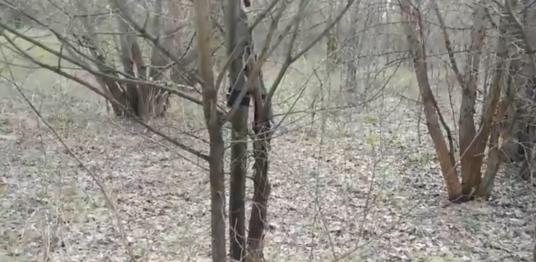 Украинский военный показал хитрую ловушку оккупантов на Донбассе: видео