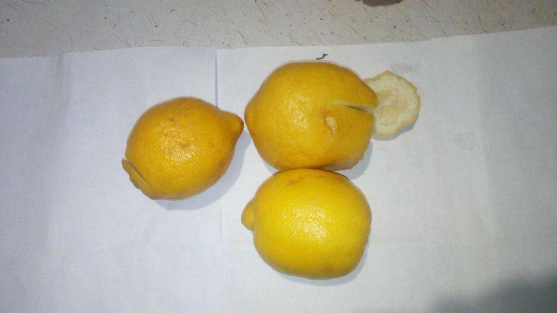 "Наколотые" цитрусовые: женщина придумала неожиданный способ передачи наркотиков заключенному