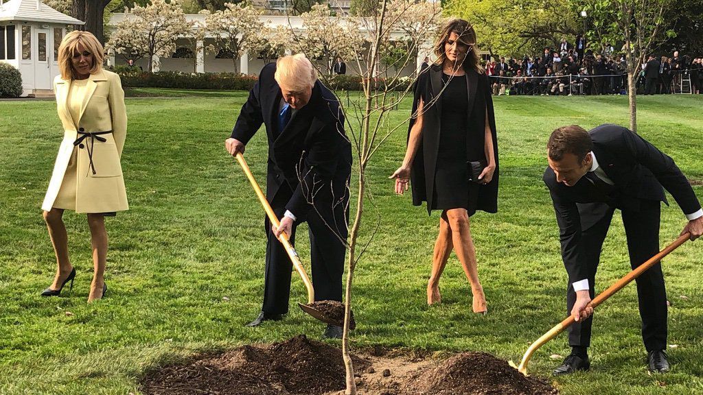 Найсмішніші меми тижня: кого посадив Трамп та як зустрілися дві Кореї Найсмішніші меми тижня: кого посадив Трамп та як зустрілися дві Кореї