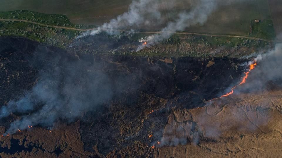 Як поблизу Херсона незаконно спалюють очерет, вбиваючи все живе у ньому: фото