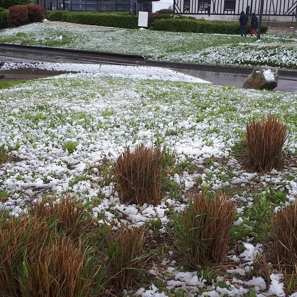 Сніг у Франції Сніг у Франції