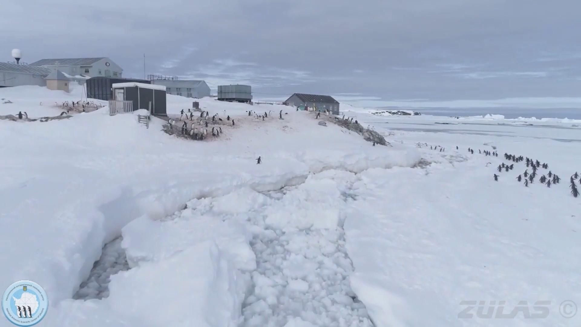 Українські полярники повернулися з Антарктиди: як пройшла експедиція
