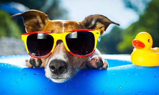 Погода 4 травня в Україні - літня спека Погода 4 травня в Україні - літня спека