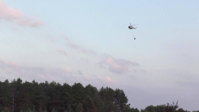 На Чернігівщині триває пожежа на території військового лісгоспу: залучено авіацію 