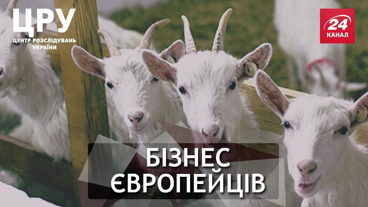 Чому для європейців  ризикований бізнес на українській землі 