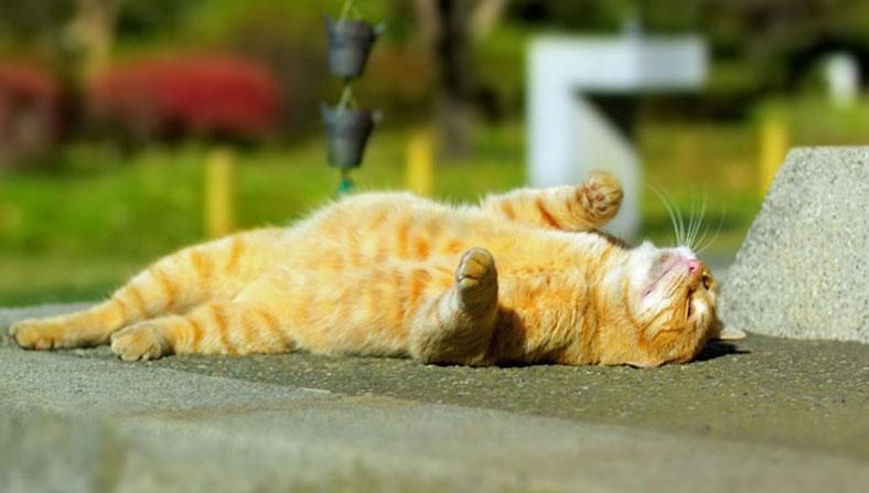 Погода на лето 2018 в Украине: +40 и без дождей - прогноз погоды Погода на лето 2018 в Украине: +40 и без дождей - прогноз погоды