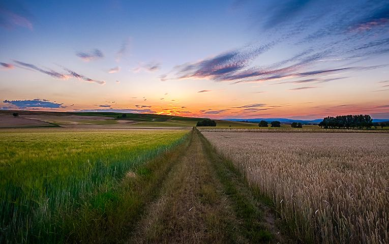 Всемирный банк спрогнозировал, как изменится стоимость земли после отмены моратория