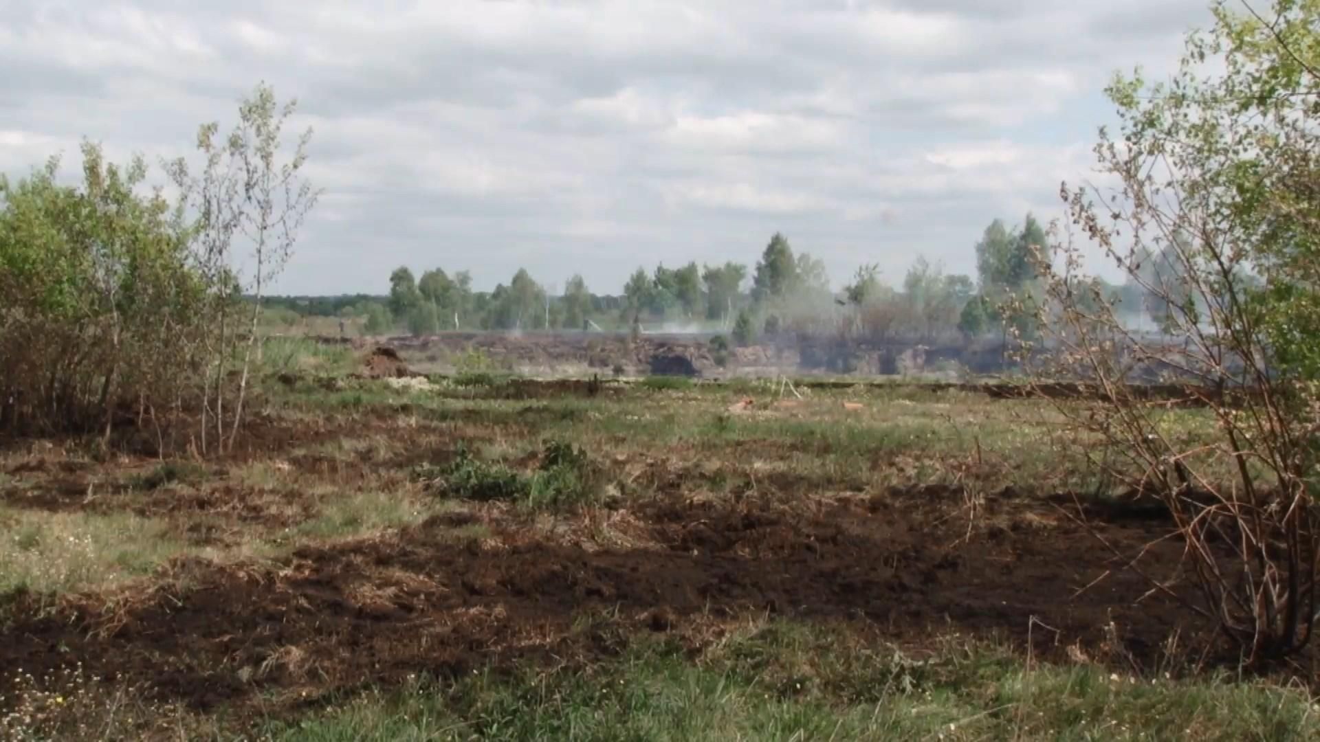 На Львівщині рятувальники третій день гасять загоряння торфу На Львівщині рятувальники третій день гасять загоряння торфу