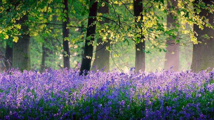 Погода 9 мая 2018 в Украине: прогноз погоды от синоптиков