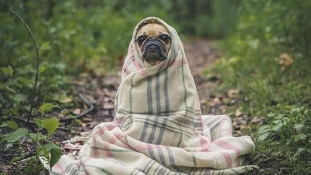 Погода 11 мая в Украине: прогноз погоды от синоптиков Погода 11 мая в Украине: прогноз погоды от синоптиков