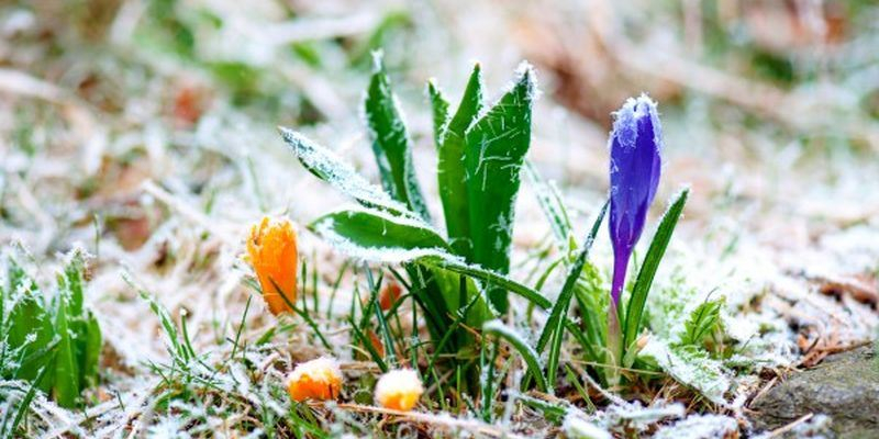 В Украину идут заморозки: названы области, в которых значительно похолодает