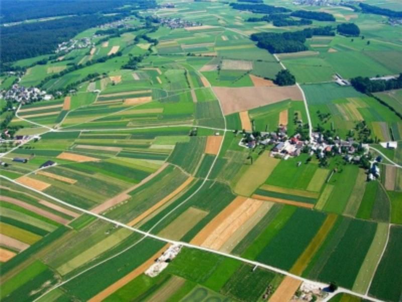 Крупнейшие землевладельцы Украины: список Крупнейшие землевладельцы Украины: список