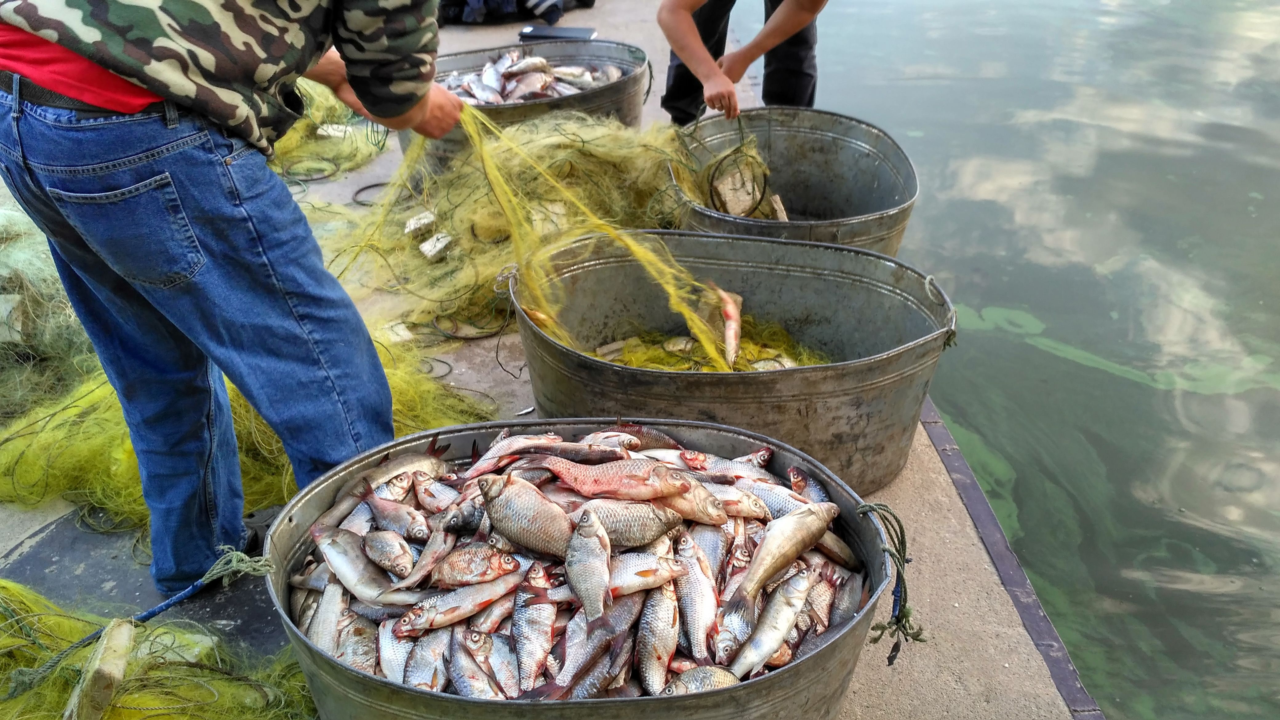В Запорожье браконьеры наловили рыбы на 4 миллиона гривен: фото