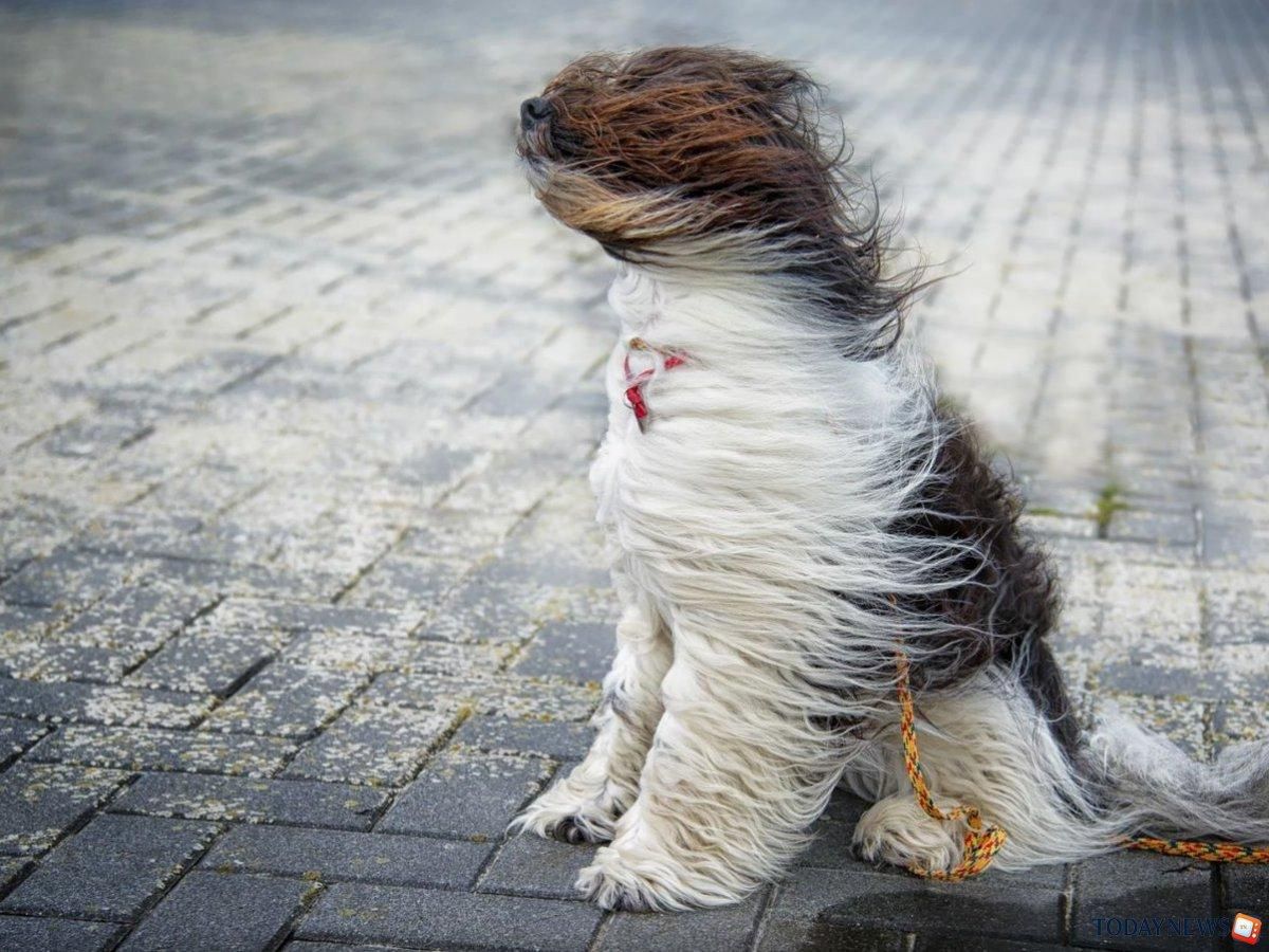 Прогноз погоди 14 травня в Україні від синоптиків Прогноз погоди 14 травня в Україні від синоптиків