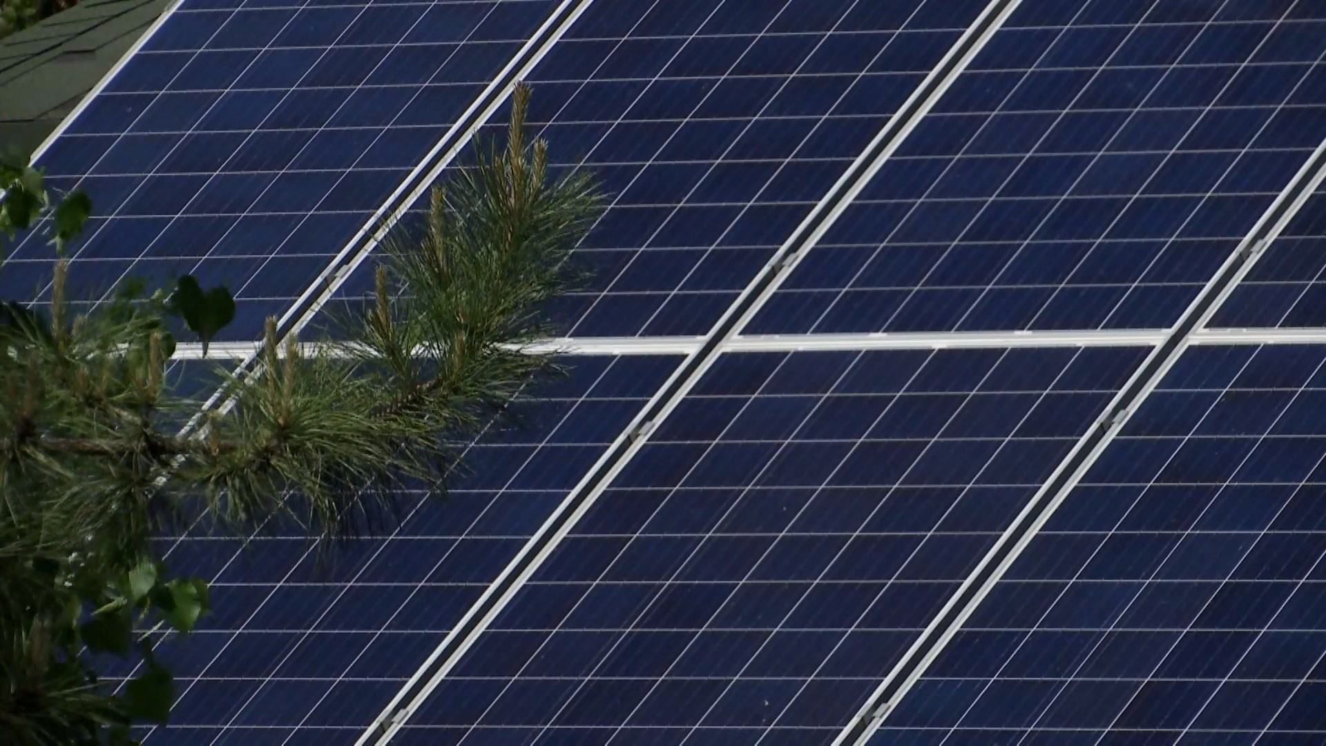 Бізнес на користь планети: як заробляти на альтернативній енергетиці Бізнес на користь планети: як заробляти на альтернативній енергетиці