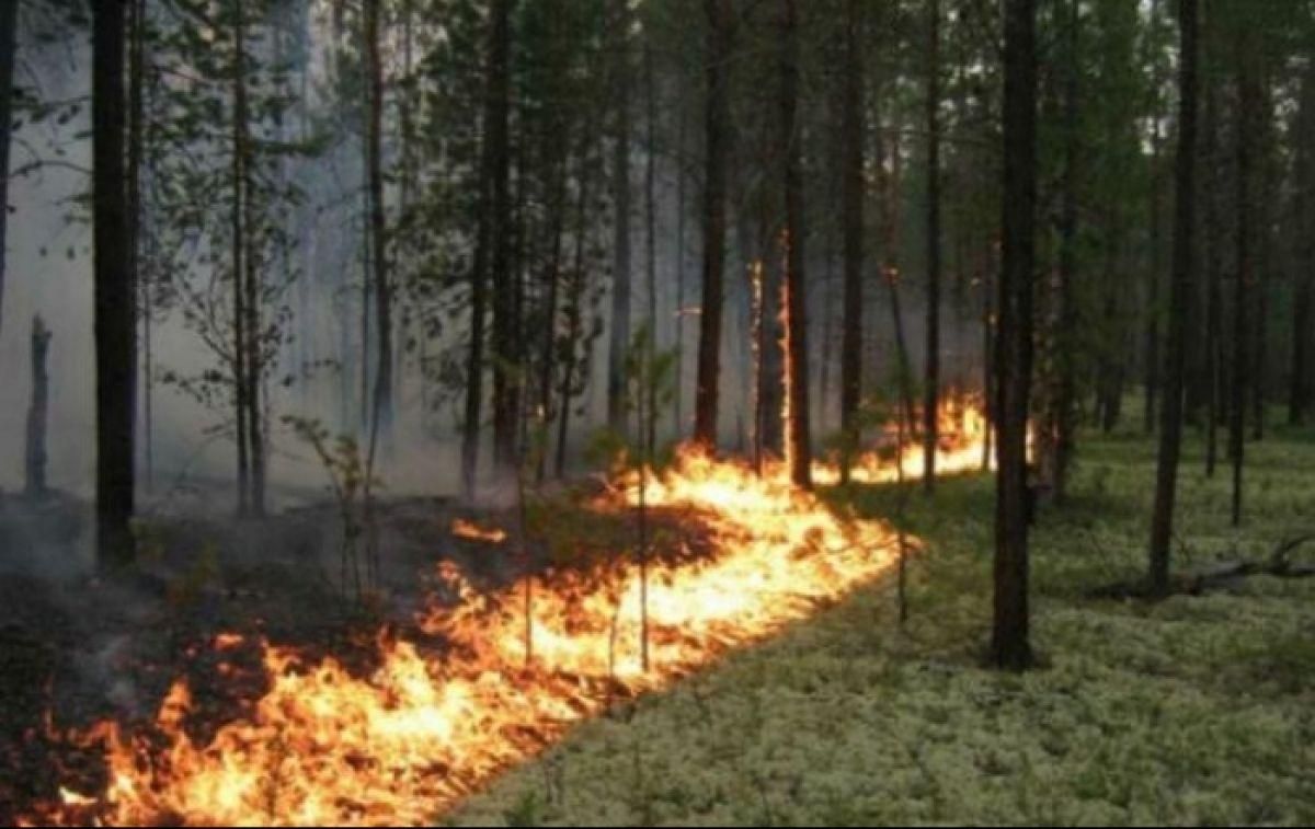 В Україні триває пожежна небезпека 