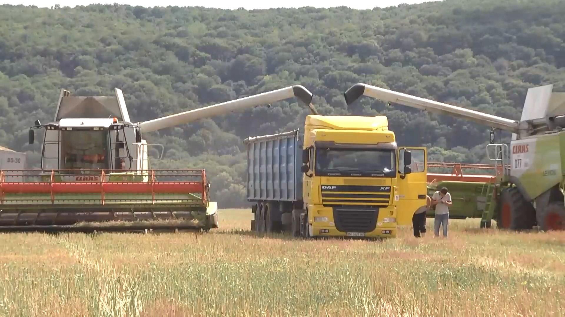 Скільки отримують українці за оренду землі в порівнянні з іншими країнами, – експерт