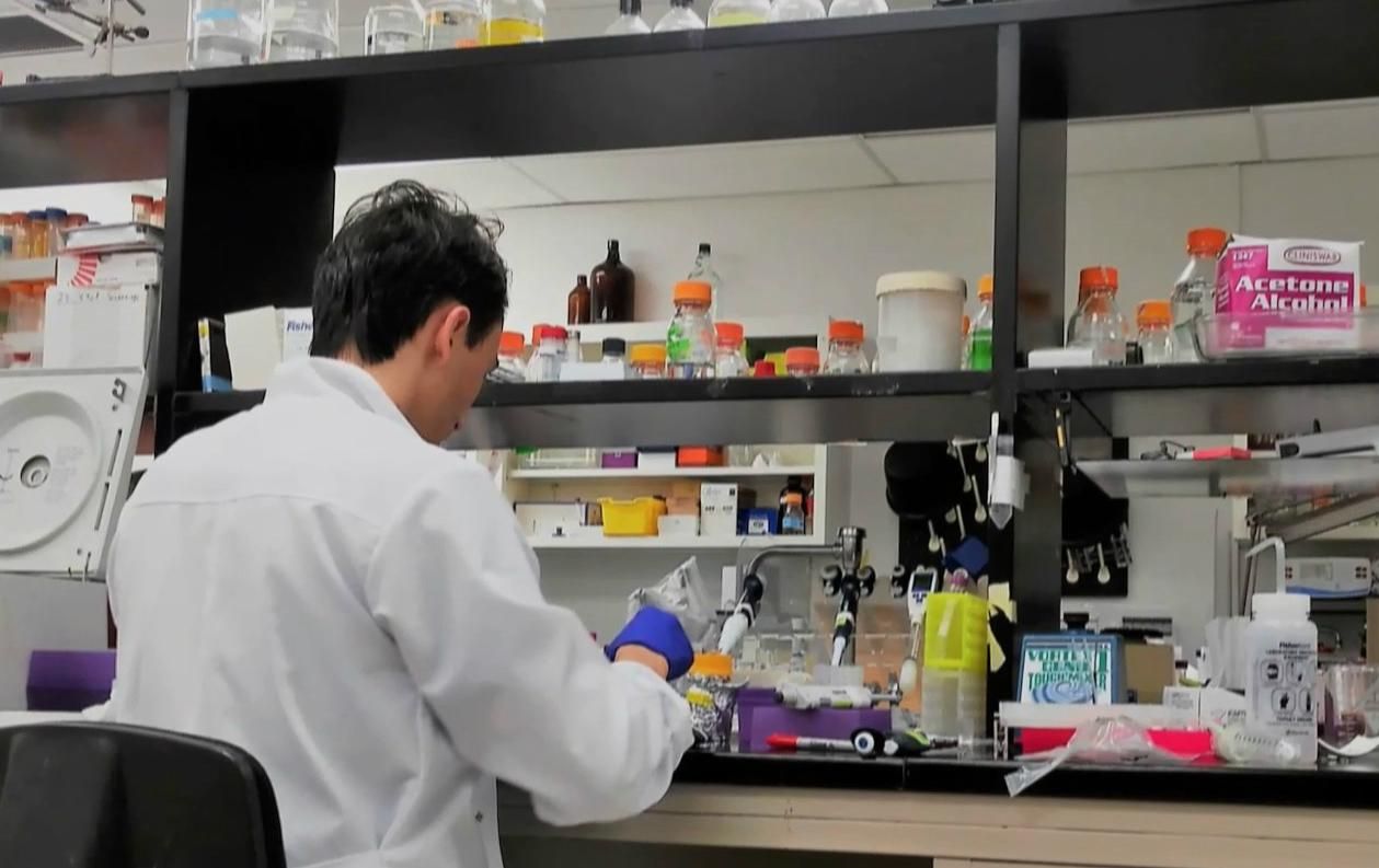 Почему украинские ученые выезжают за границу Почему украинские ученые выезжают за границу