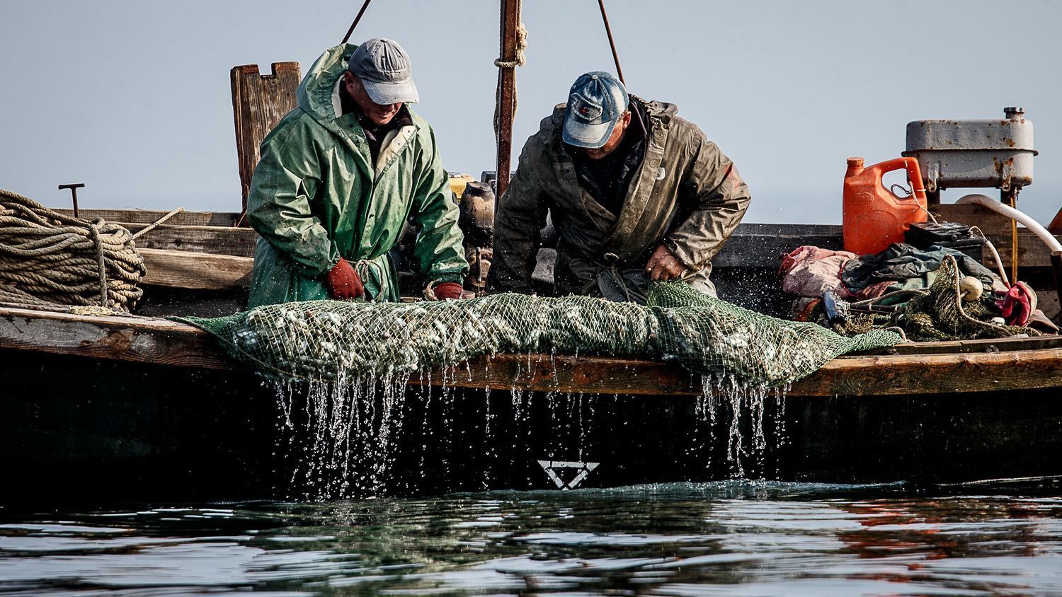 У Росії заявили про затримання рибалок у Азовському морі 