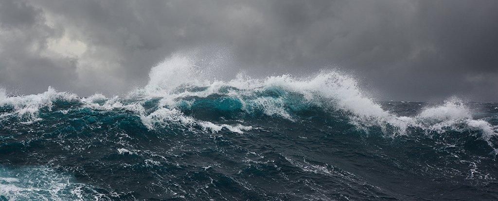 Найвищу хвилю на південній півкулі зафіксували у Новій Зеландії: її розмір вражає