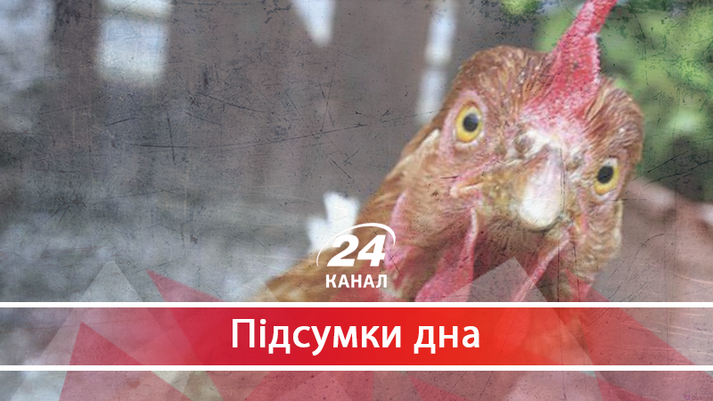 Як курки з "Нашої Ряби" зробили у парку Феофанія автобан Як курки з "Нашої Ряби" зробили у парку Феофанія автобан