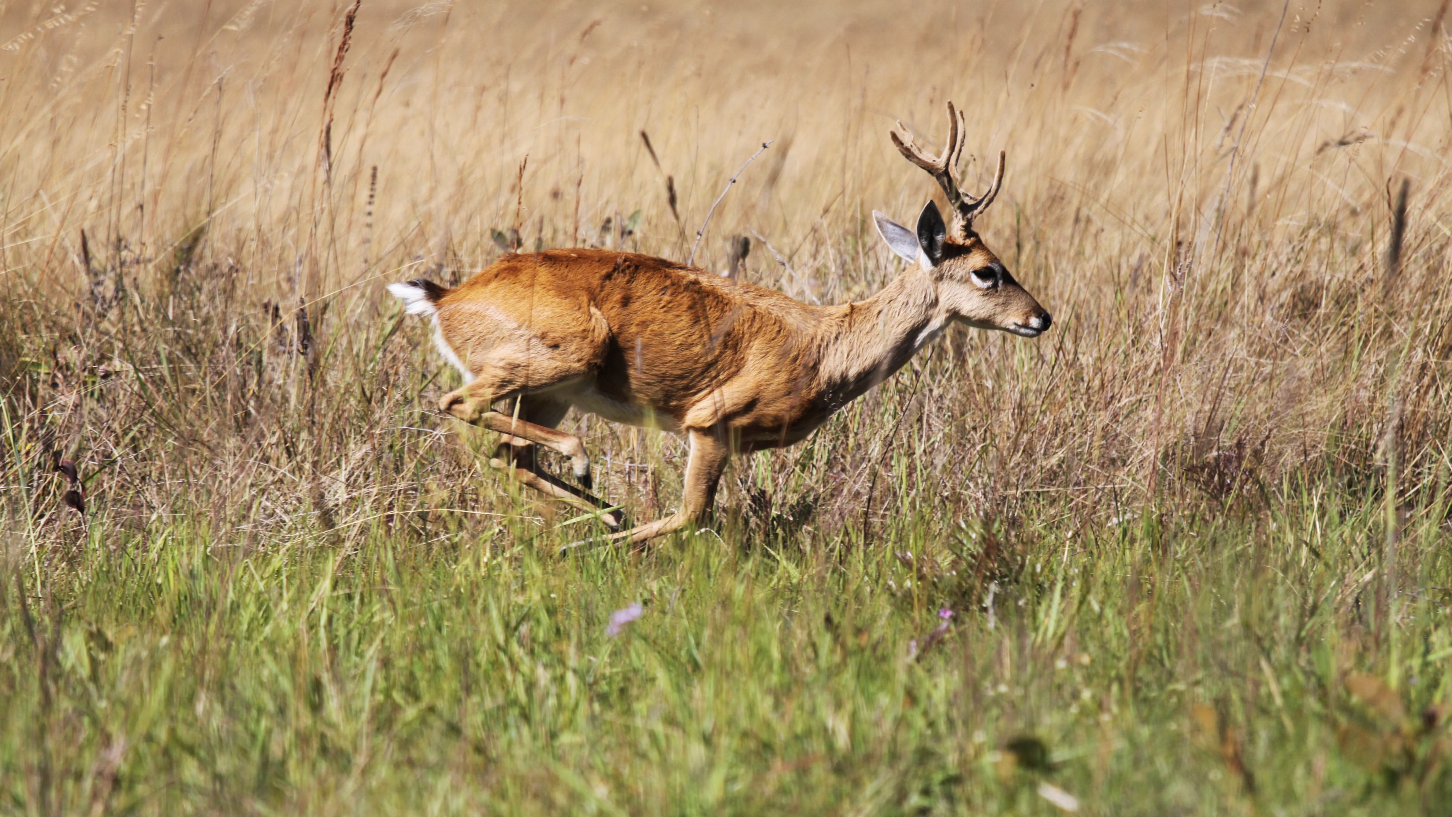 Бойовики побачили на вулицях окупованої Горлівки незвичне явище: відео Бойовики побачили на вулицях окупованої Горлівки незвичне явище: відео