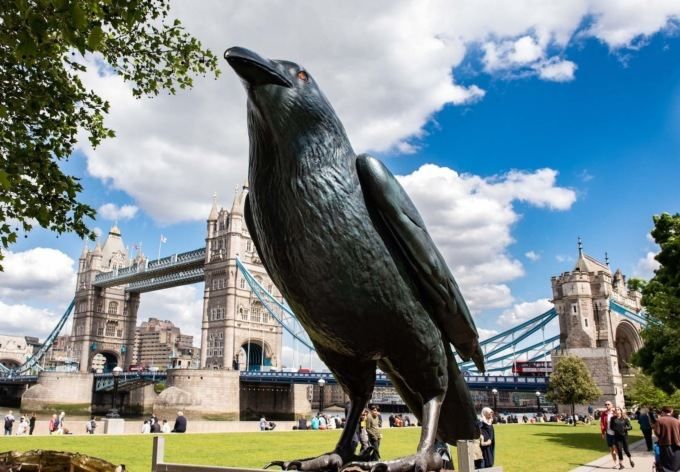 Необычная реклама от Huawei: в британских городах появились огромные вороны Необычная реклама от Huawei: в британских городах появились огромные вороны