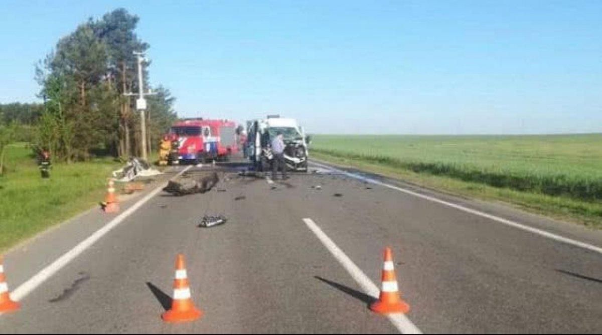 Смертельное ДТП с украинскими детьми в Беларуси: двое детей в тяжелом состоянии Смертельное ДТП с украинскими детьми в Беларуси: двое детей в тяжелом состоянии