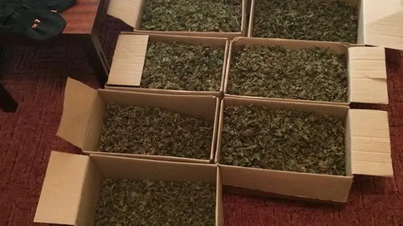 ООС, зброя, Донбас, СБУ, Росія, Кримінал, Наркотики ООС, зброя, Донбас, СБУ, Росія, Кримінал, Наркотики