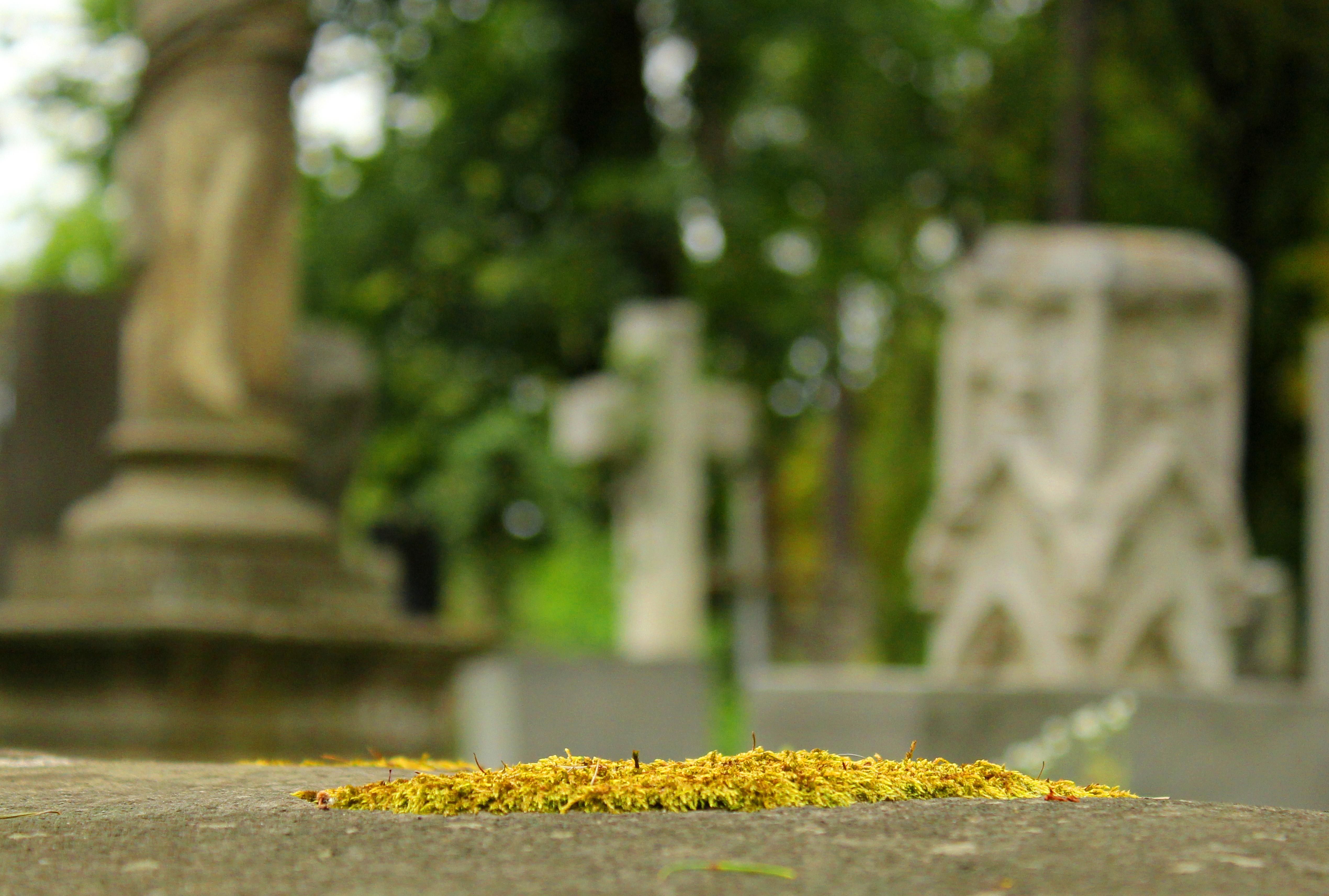 В Україні спростять процедуру похорону В Україні спростять процедуру похорону