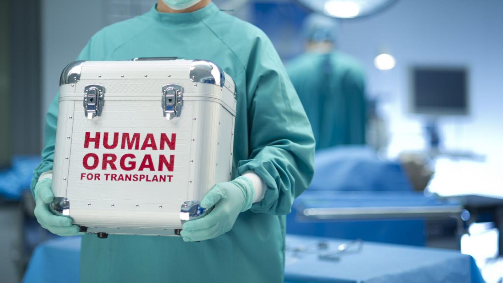 Депутаты перенесли рассмотрение законопроекта о трансплантологии