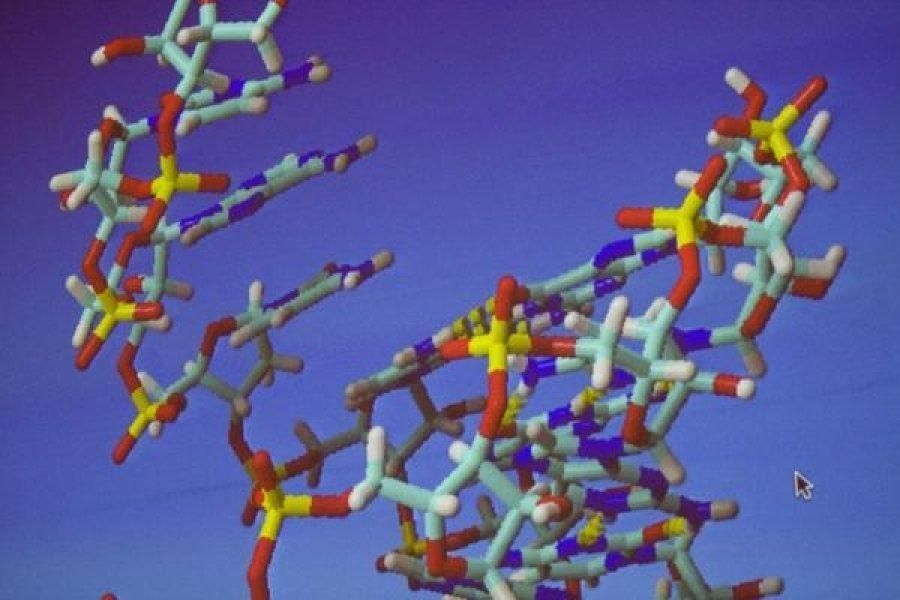 Возникновение жизни на Земле: ученые сделали грандиозное открытие
