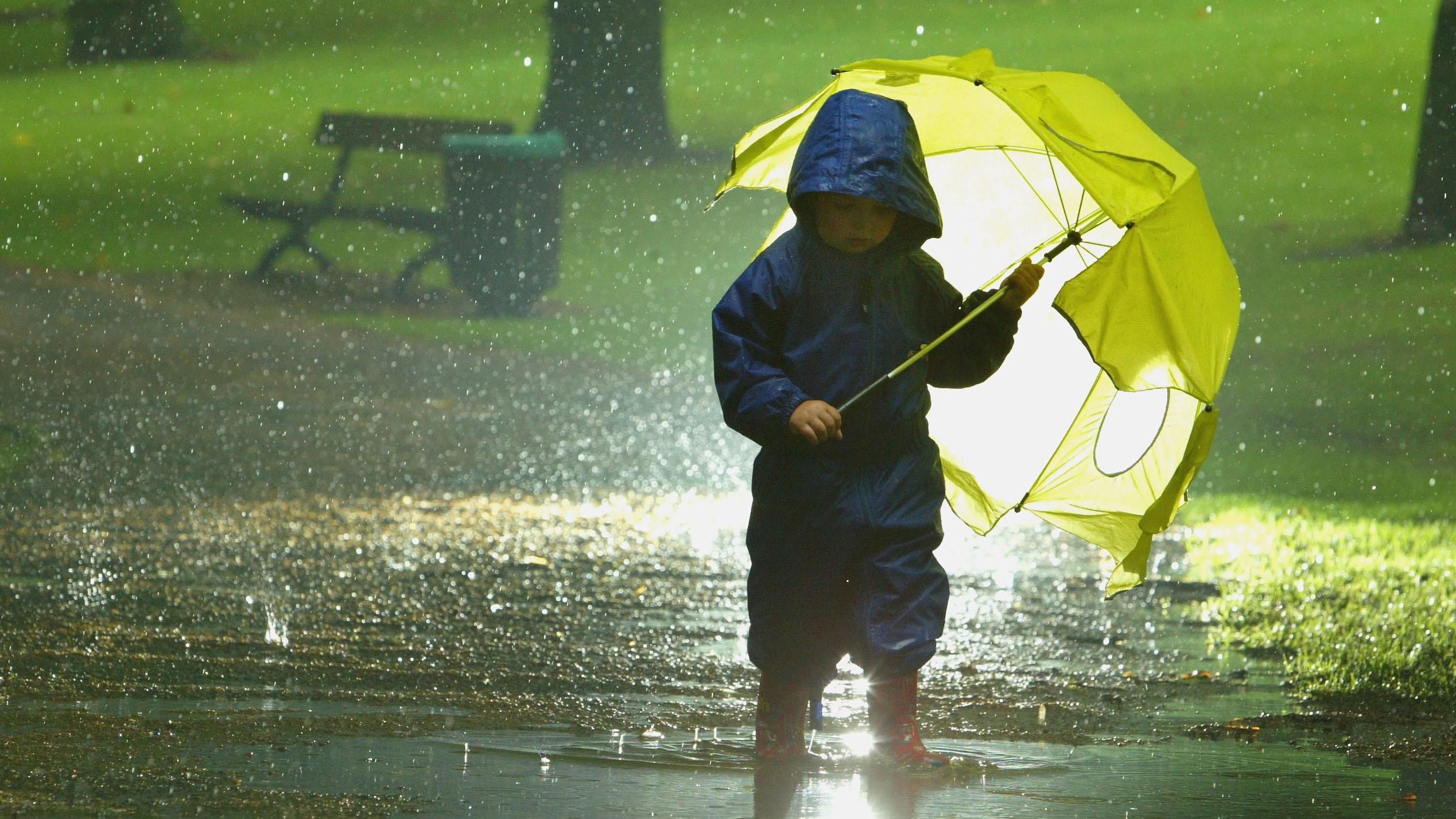 Погода 18 травня в Україні: очікуються дощі та грози Погода 18 травня в Україні: очікуються дощі та грози