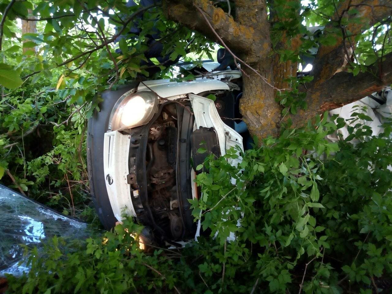 Жуткое ДТП на Николаевщине: разбился микроавтобус, пять человек погибли