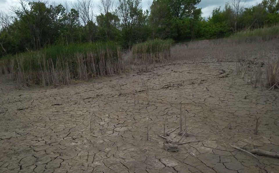 Екологічна катастрофа на Донбасі: журналіст показав моторошні фото