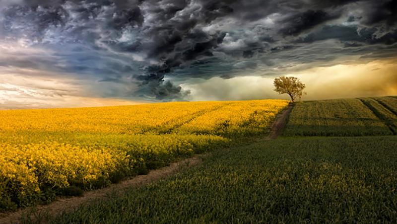 Погода 23 травня 2018 в Україні: на заході та сході буде дощ