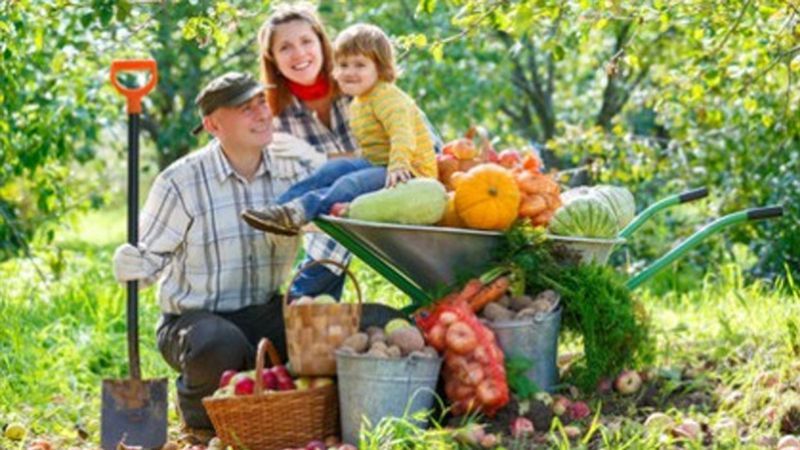 Ухвалено закон про легалізацію сімейних ферм Ухвалено закон про легалізацію сімейних ферм