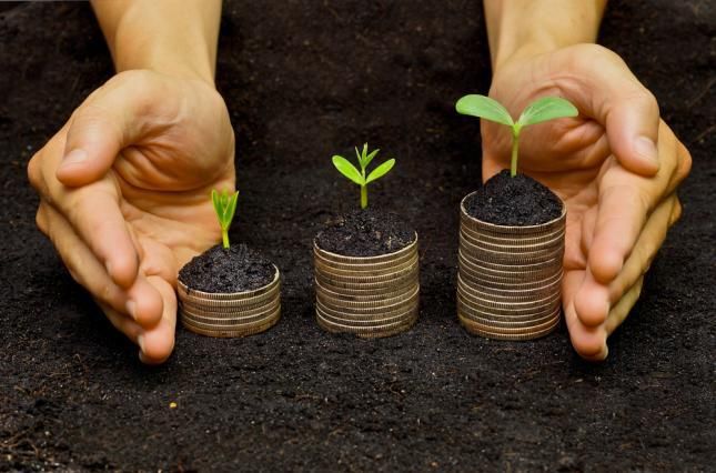 Експертка розповіла, коли в Україні відмінять мораторій на продаж земель Експертка розповіла, коли в Україні відмінять мораторій на продаж земель