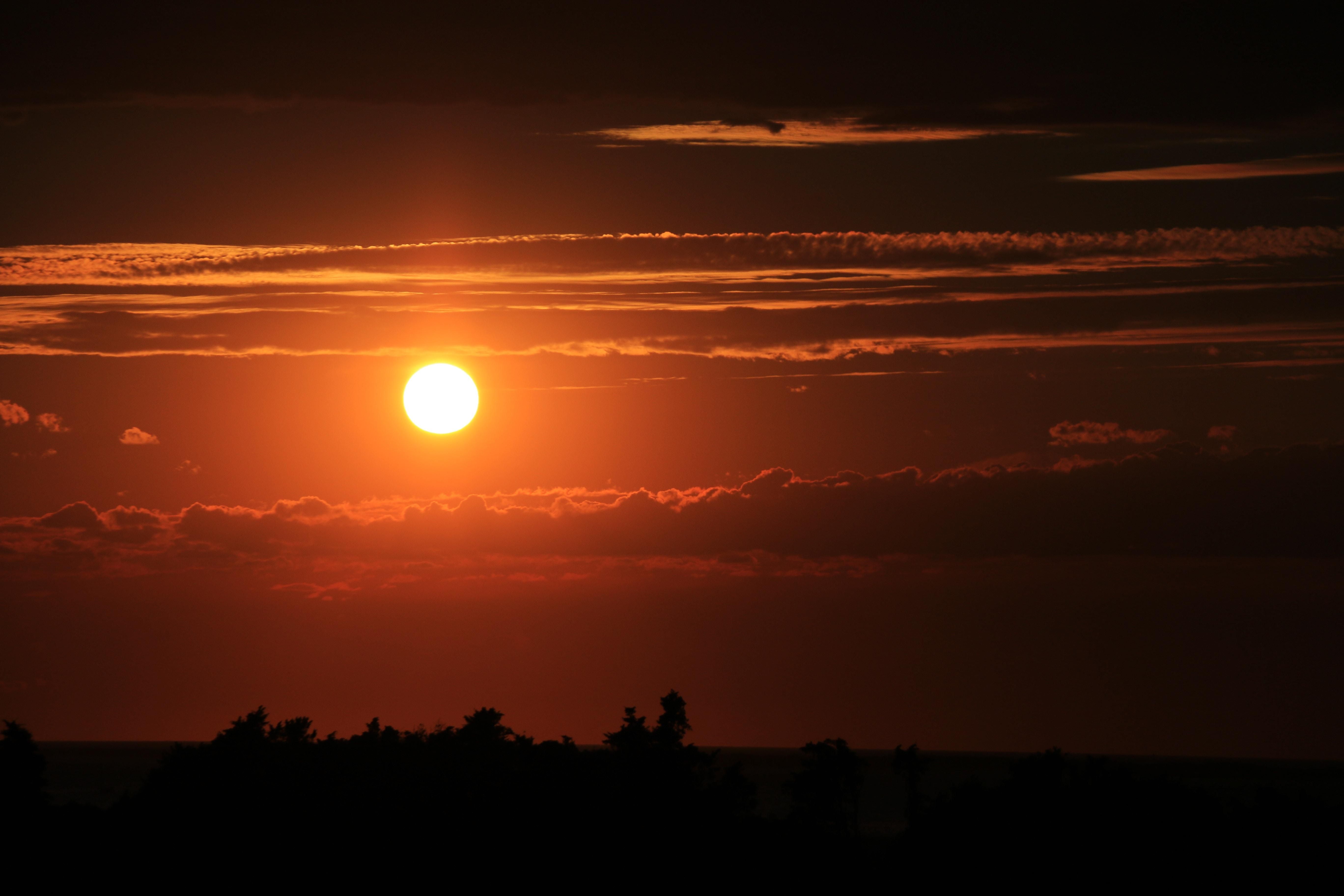 Астрономы заявили о вспышках на Солнце в ближайшие дни