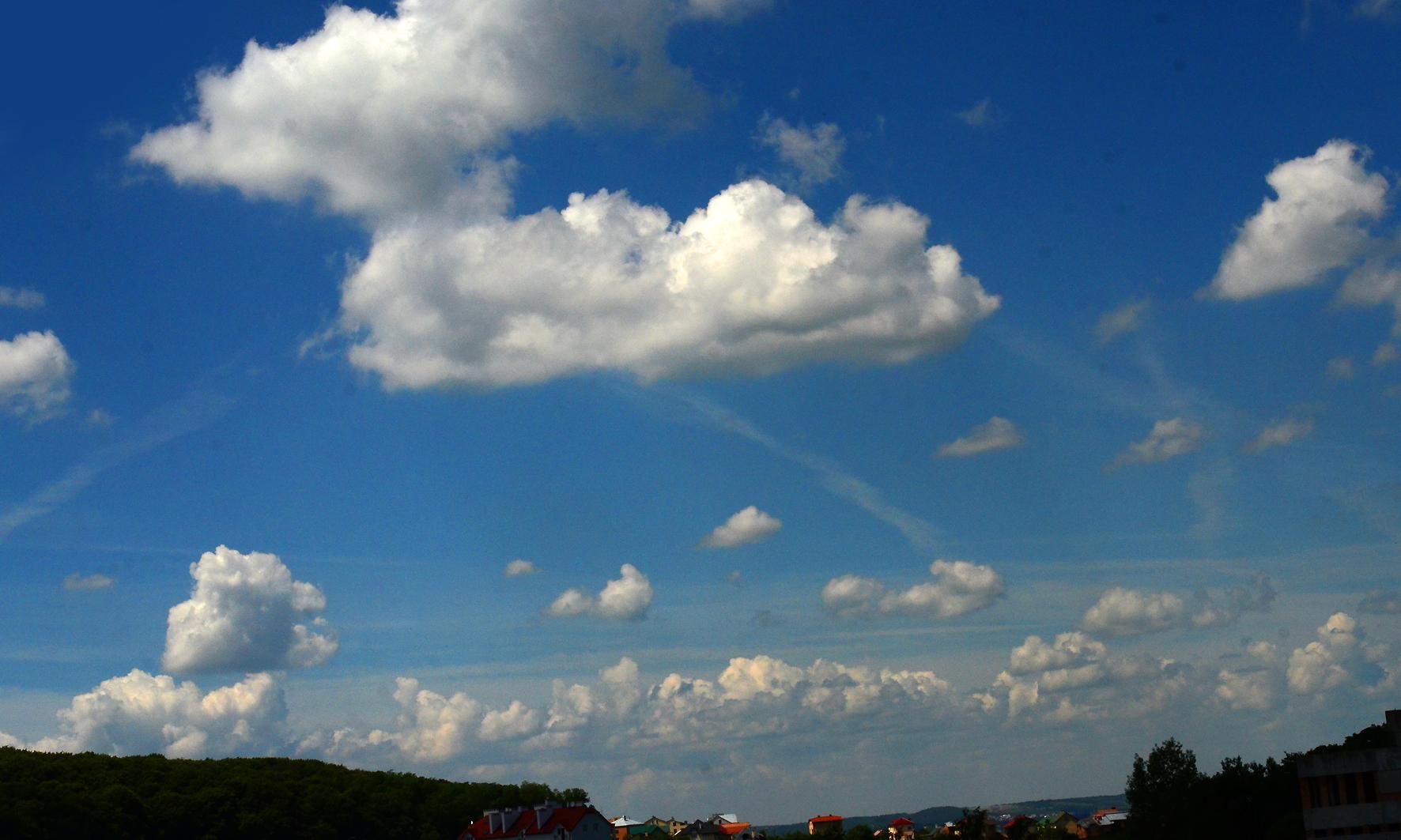 Из-за глобального потепления Полесье может превратиться в степь Из-за глобального потепления Полесье может превратиться в степь