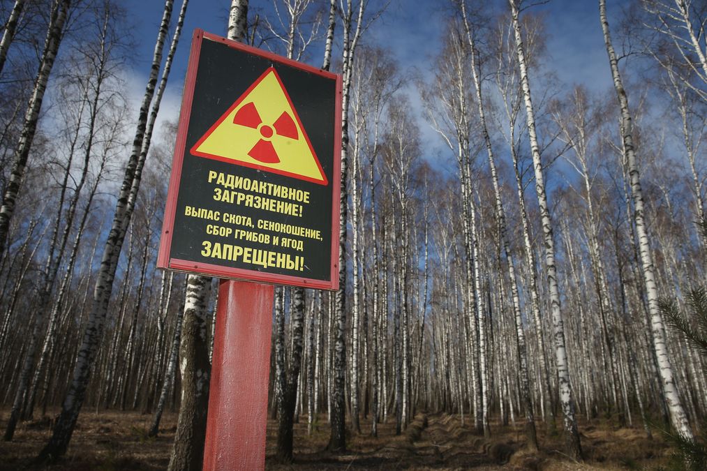 Украина передала в НАТО доклад о разработке Россией биологического и химоружия Украина передала в НАТО доклад о разработке Россией биологического и химоружия