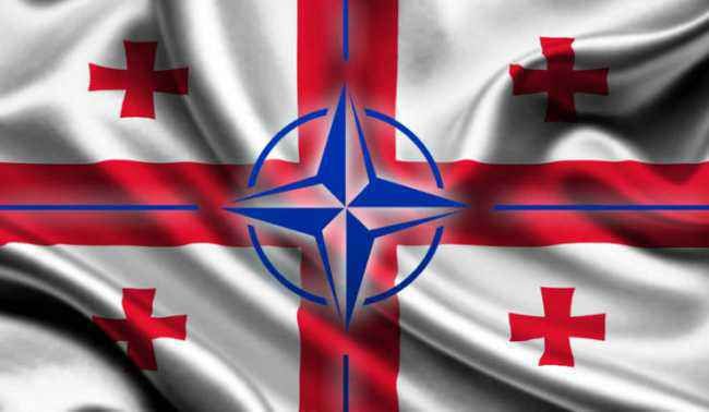 Грузія планує вступити до НАТО у 2021 році