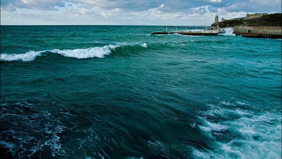 Український центр екології моря провів наймасштабніше дослідження за останні 25 років Український центр екології моря провів наймасштабніше дослідження за останні 25 років