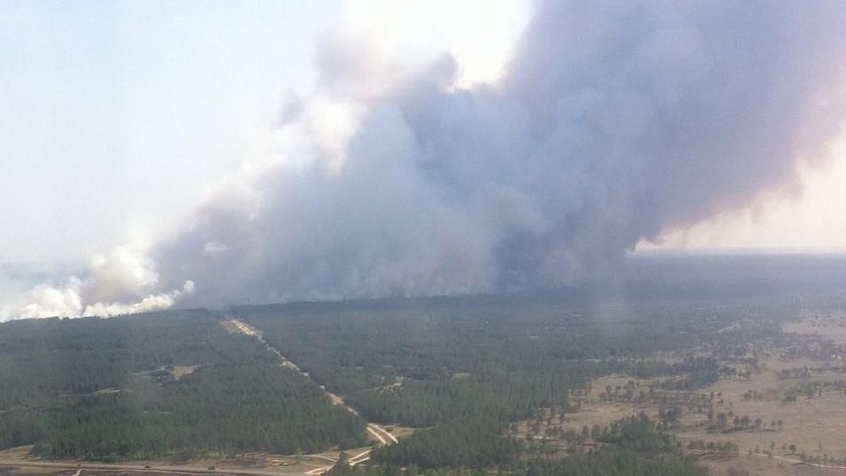 На Херсонщині досі триває масштабна пожежа у лісі: опубліковано вражаючі фото 